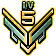 Gold Medal of Lv 5 Amateur