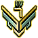 Gold Medal of Lv 7 Amateur