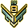 Gold Medal of Lv 8 Amateur