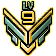 Gold Medal of Lv 9 Amateur